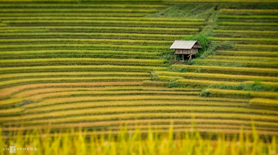 Mountainous harvest in the golden light of autumn Mountainous harvest in the golden light of autumn