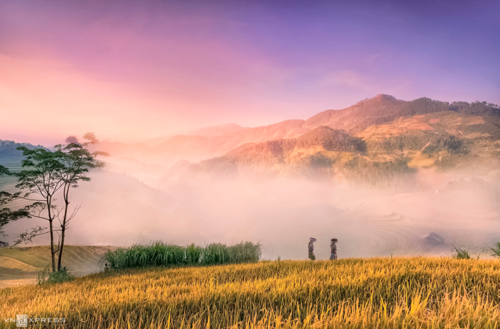 Mountainous harvest in the golden light of autumn Mountainous harvest in the golden light of autumn