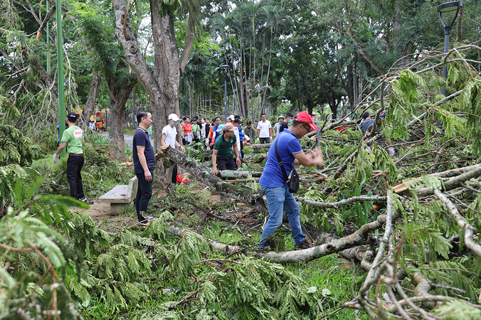 Noul storm caused more than USD 21 million in damage, 10,000 trees fallen in Hue 0929 capture