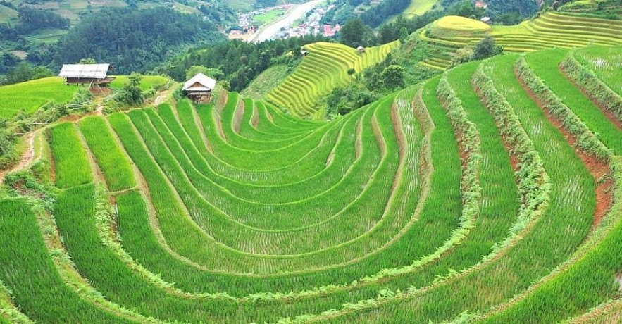 Photos: The Majesty of Rice Paddies in Ha Giang Photos: The Majesty of Rice Paddies in Ha Giang