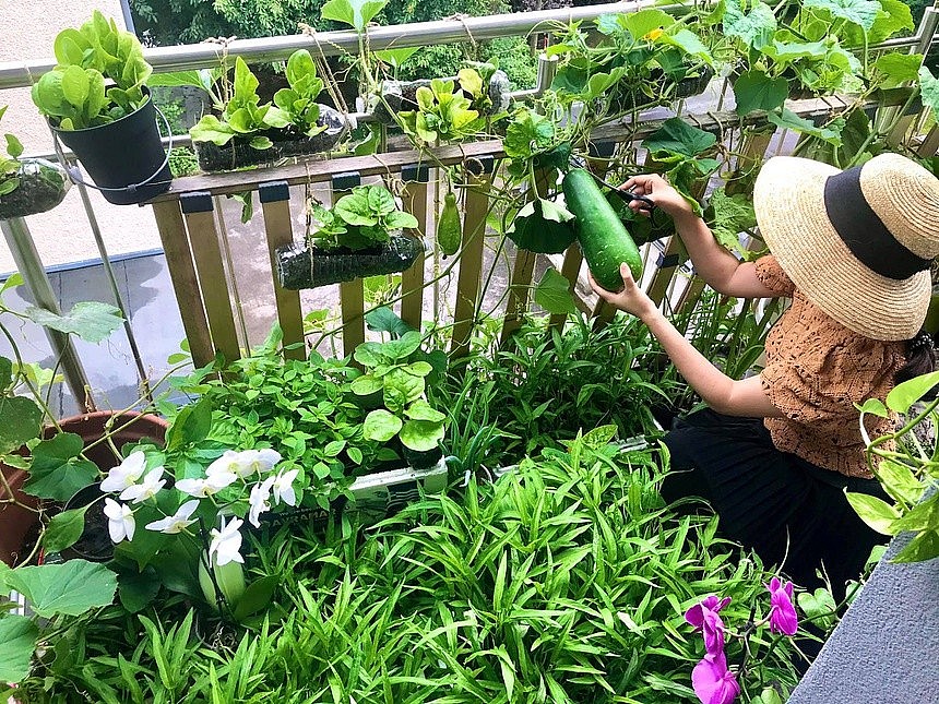Vietnamese Woman Living France Turns Balcony Into Garden Vietnamese Woman Living France Turns Balcony Into Garden