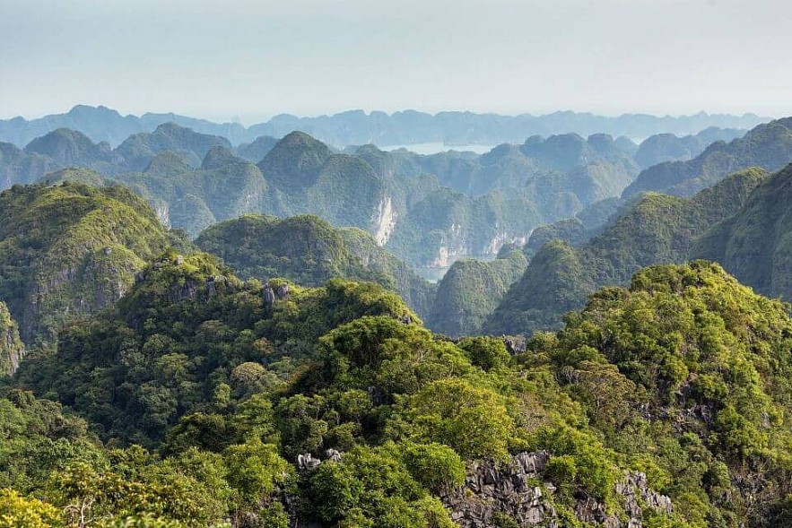 Cat Ba Listed Among BuzzFeed's Must-visit National Parks Cat Ba Listed Among BuzzFeed's Must-visit National Parks