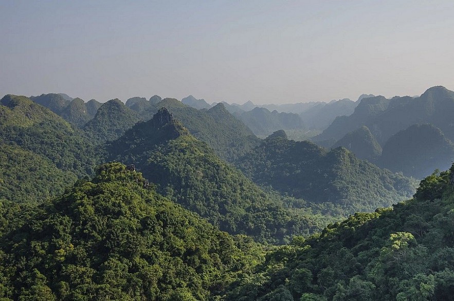 Cat Ba Listed Among BuzzFeed's Must-visit National Parks Cat Ba Listed Among BuzzFeed's Must-visit National Parks