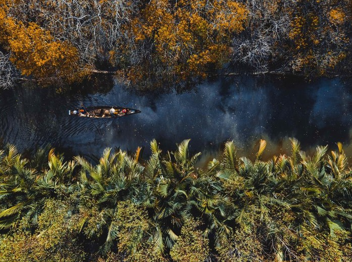 the haunting magnificence of hues mangroves forest in autumn