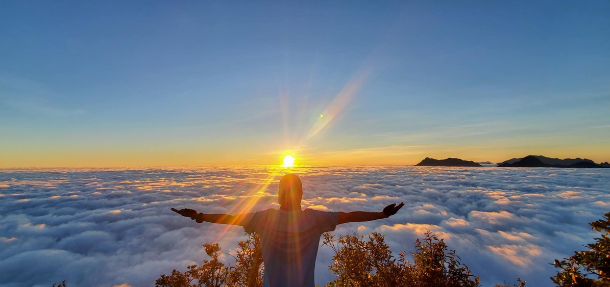 undefined 4419 capture