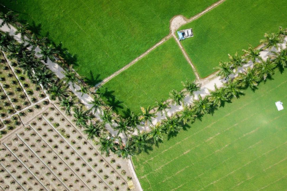 undefined 3803 capture6