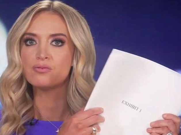 white house secretary announced 234 pages of affidavits alleging election irregularities
