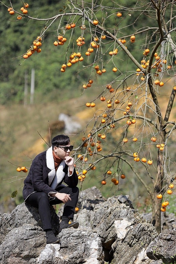 Hunting for Out-of-Season Plum Blossoms in Moc Chau Hunting for Out-of-Season Plum Blossoms in Moc Chau