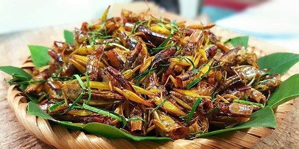 Yên Bái tràn ngập đặc sản hấp dẫn và thơm ngon yen bai mu cang chai tran ngap dac san hap dan va thom ngon