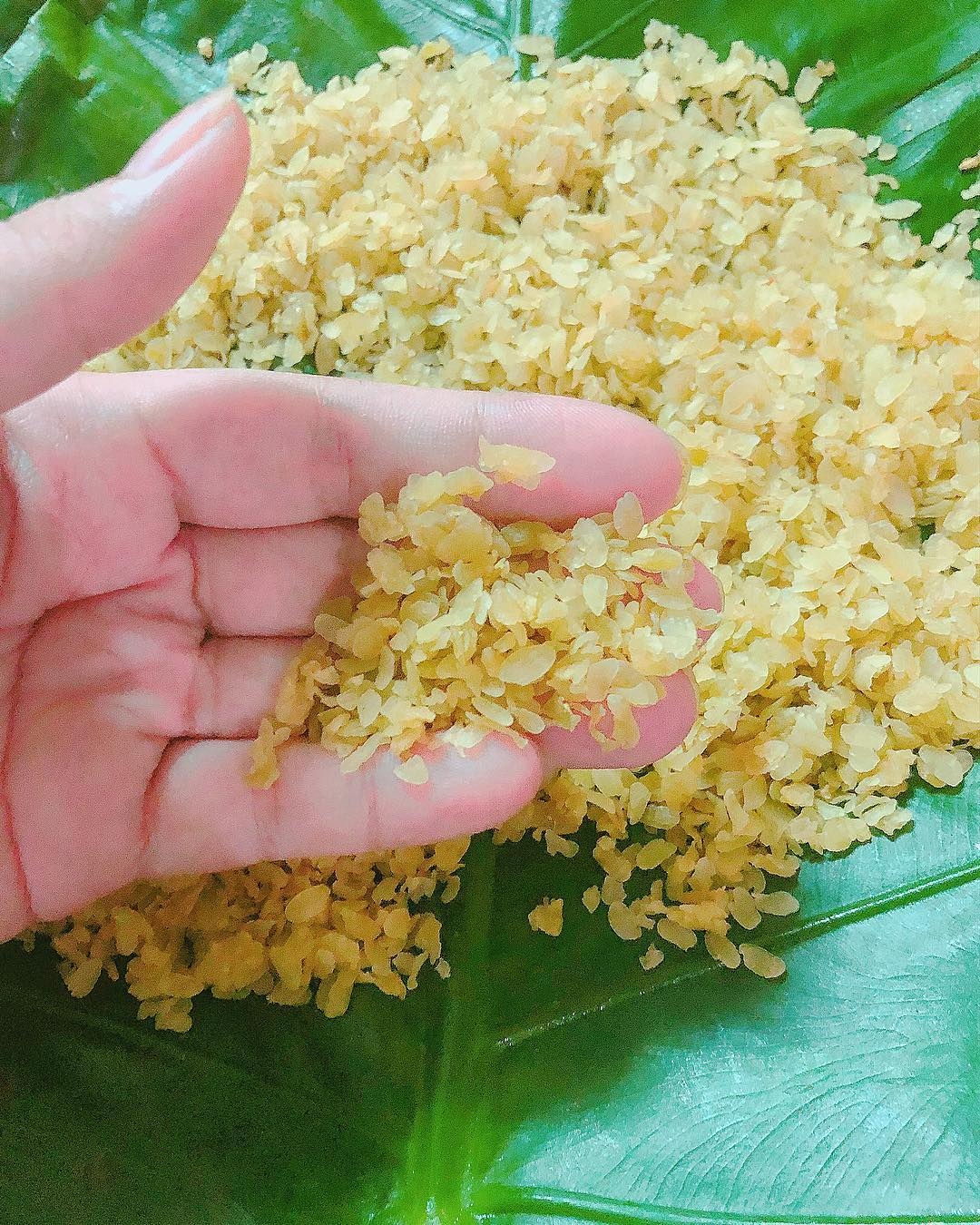 Yên Bái tràn ngập đặc sản hấp dẫn và thơm ngon yen bai mu cang chai tran ngap dac san hap dan va thom ngon