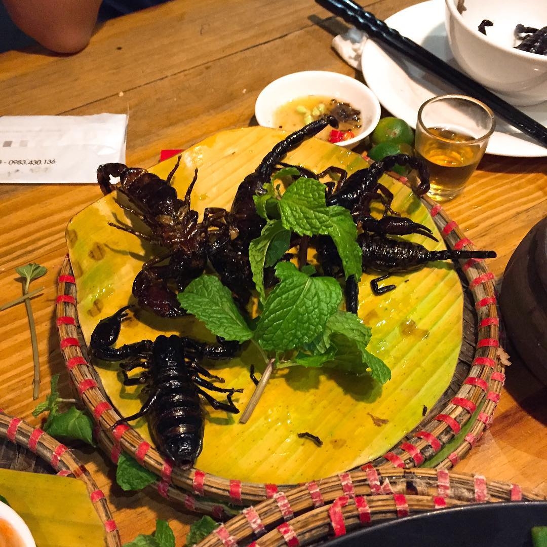 Đến An Giang thưởng thức khô rắn nướng An Phú và loạt món ngon độc lạ den an giang thuong thuc kho ran nuong an phu va mot loat cac mon ngon rung tim khac