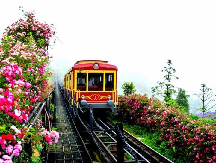Ăn chơi gì trong 3 ngày ở Sa Pa? an choi gi trong 3 ngay o sa pa