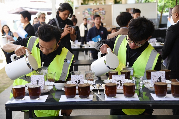 SNV: Dự án cà phê để dân hưởng lợi, xây dựng cảnh quan bền vững và không mất rừng SNV: Dự án cà phê để dân hưởng lợi, xây dựng cảnh quan bền vững và không mất rừng