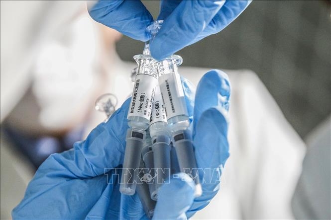 Trung Quốc: Khỉ khỏi hoàn toàn Covid-19 sau khi sử dụng vaccine Trung Quốc: Khỉ khỏi hoàn toàn Covid-19 sau khi sử dụng vaccine