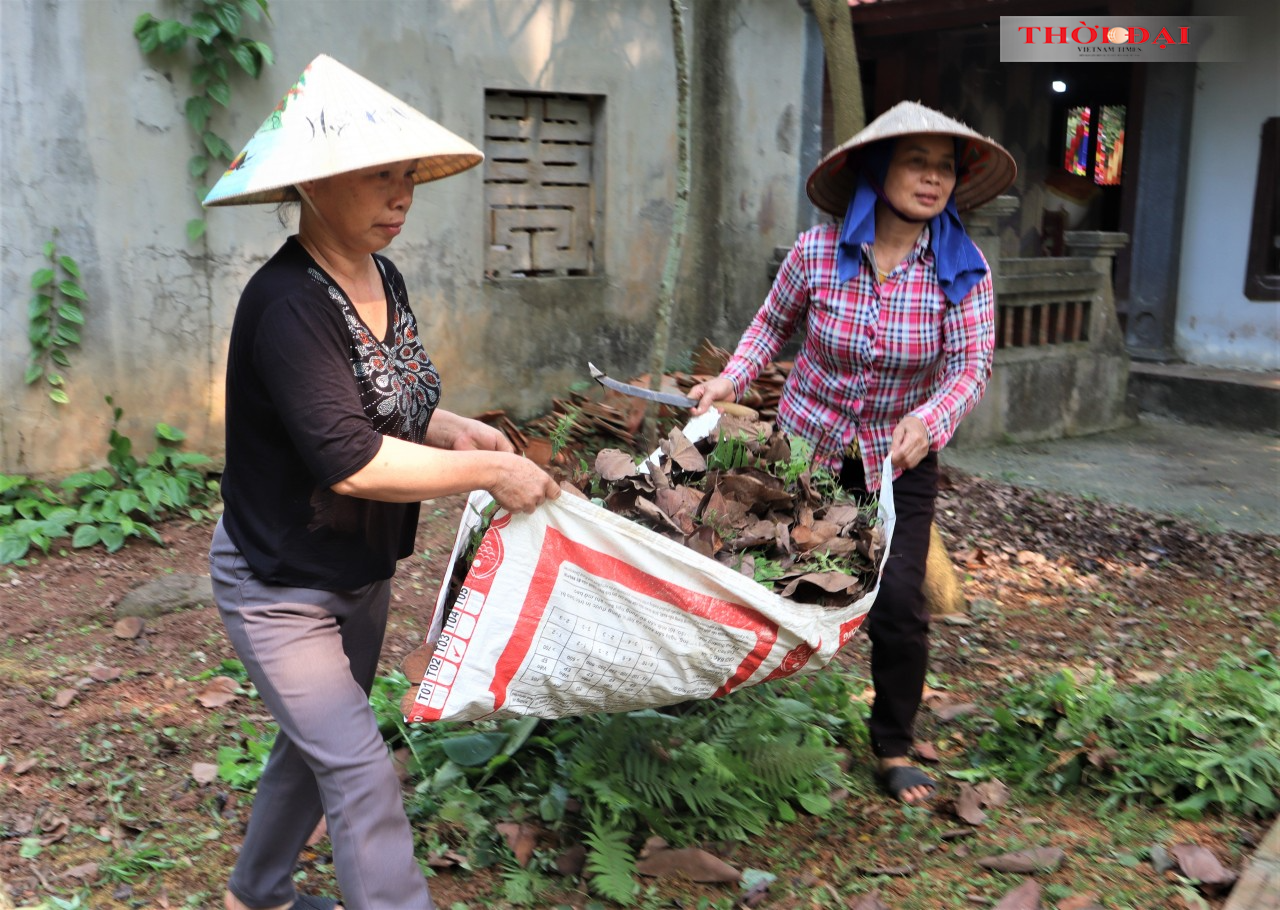 Nguyễn Thị Xuân - Đinh Thị Oanh Nguyễn Thị Xuân - Đinh Thị Oanh