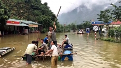 hon 1000 ngoi nha an toan chong bao se duoc xay dung trong 2019