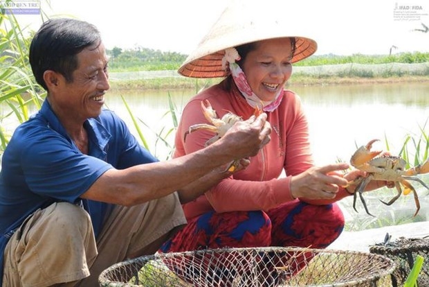 Mô hình sinh kế bền vững: cần lồng ghép, nhân rộng, lan tỏa Mô hình sinh kế bền vững: cần lồng ghép, nhân rộng, lan tỏa