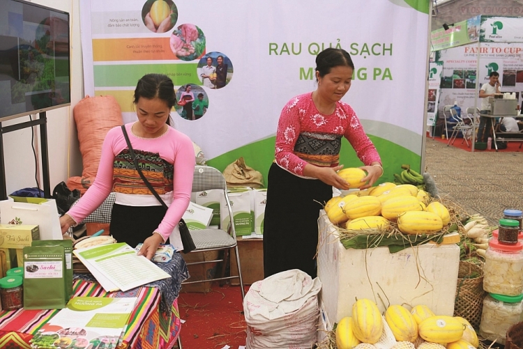 Mô hình sinh kế bền vững: cần lồng ghép, nhân rộng, lan tỏa Mô hình sinh kế bền vững: cần lồng ghép, nhân rộng, lan tỏa