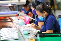 ៥១% ស្បែកជើងកីឡា Nike ផលិតនៅវៀតណាម
