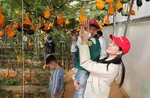 អញ្ជើញមកទីក្រុង Da Lat ដើម្បីទទួលបទពិសោធន៍ទេសចរណ៍កសិកម្ម