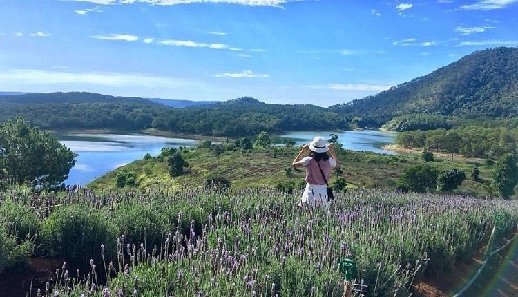 ទីក្រុង Da Lat គឺជាកន្លែងគយគន់ផ្កាស្អាតកំពូលទាំង ១០ នៅលើពិភពលោក