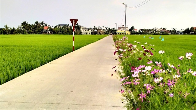 ភ្ញៀវទេសចរមកពីលោកខាងលិចរីករាយនឹងចាប់ចិត្ត នៅពេលជិះក្របីនិងធ្វើជាកសិករនៅទីក្រុង Hoi An