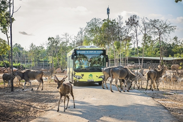 ទីកន្លែងឆែកចូលថ្មីទាក់ទាញយុវជននៅកោះ Phu Quoc