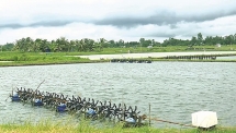 ចលនាកសាងជនបទថ្មីនៅស្រុក មីស្វៀន