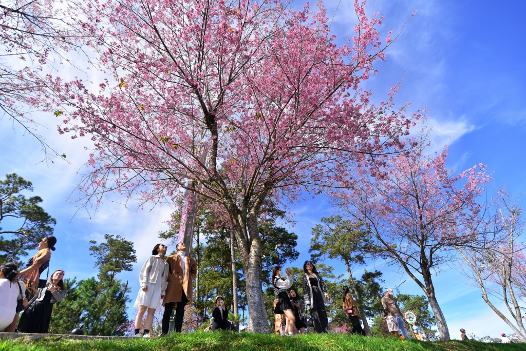 ទីក្រុង Da Lat បានចេញក្រមសីលធម៌