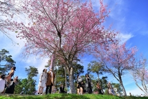 ទីក្រុង Da Lat បានចេញក្រមសីលធម៌