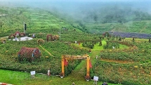 ខេត្ត Lao Cai ដាក់ឲ្យដំណើរការផលិតផលទេសចរណ៍ថ្មីៗ ដើម្បីទាក់ទាញភ្ញៀវទេសចរ