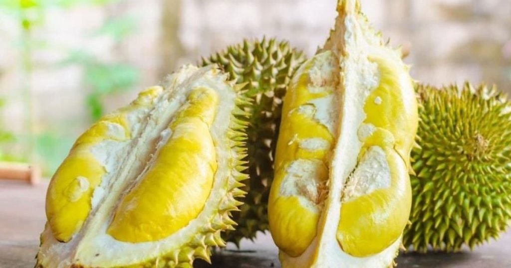 ផ្លែទុរេនកាន់តែពេញនិយមនៅទីផ្សារ ផ្លែទុរេនកាន់តែពេញនិយមនៅទីផ្សារ
