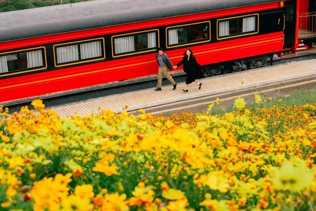 ទីតាំង check-in ថ្មីនៅទីក្រុង Da Lat៖ ទេសភាពរថភ្លើងនៅកណ្តាលវាលផ្កាដែលមានសម្រស់ស្រស់ស្អាតដូចទេសភាពនៅអឺរ៉ុប