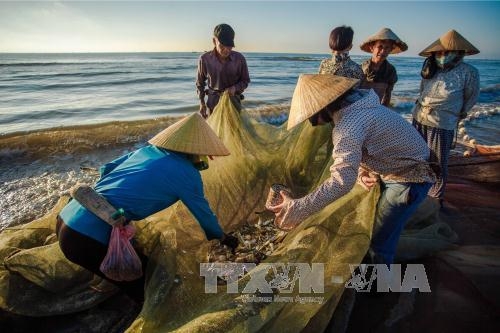 ខេត្ត Thanh Hoa ៖ ជំនះ លើ“កាតពណ៌លឿង” IUU ជួយអោយប្រជានេសាទសកម្មក្នុងការនេសាទ