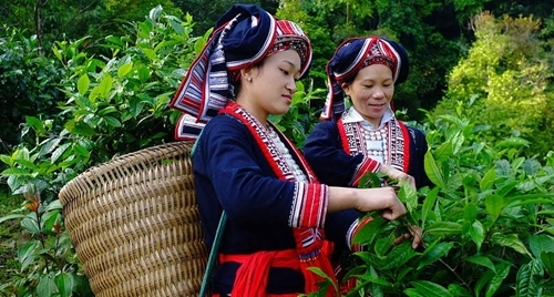 បង្កើនការផ្សព្វផ្សាយច្បាប់ដល់ស្ត្រីជនជាតិភាគតិច បង្កើនការផ្សព្វផ្សាយច្បាប់ដល់ស្ត្រីជនជាតិភាគតិច