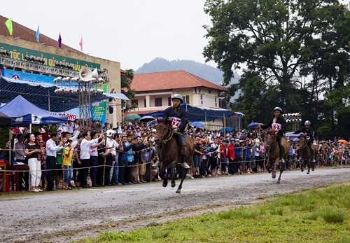 មហោស្រពប្រណាំងសេះ Bac Ha ក្លាយជាបេតិកភ័ណ្ឌវប្បធម៌អរូបីជាតិ មហោស្រពប្រណាំងសេះ Bac Ha ក្លាយជាបេតិកភ័ណ្ឌវប្បធម៌អរូបីជាតិ