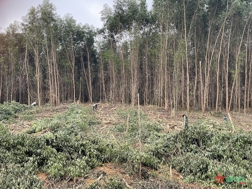 ជួយឧបត្ថម្ភជនជាតិភាគតិចឱ្យមានស្ថិរភាពក្នុងជីវភាពរស់នៅ