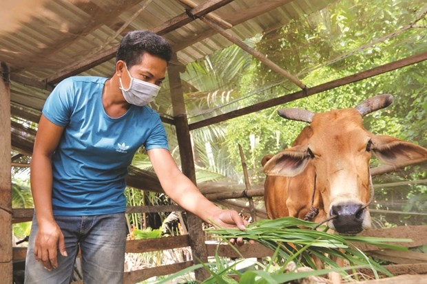 យកចិត្តទុកដាក់លើការអភិវឌ្ឍតំបន់រស់នៅរបស់ជនជាតិខ្មែរនៅខេត្តត្រាវិញ