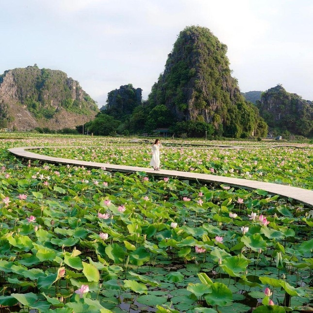 ឈ្លក់ក្នុងអន្លង់ស្នេហ៍នឹងទេសភាពរដូវស្លឹកឈើជ្រុះនៅ ល្អាត Mua ជាកេរ្តិ៍ដំណែលដ៏ល្បីល្បាញក្នុងរាជធានីបុរាណ Ninh Binh ឈ្លក់ក្នុងអន្លង់ស្នេហ៍នឹងទេសភាពរដូវស្លឹកឈើជ្រុះនៅ ល្អាត Mua ជាកេរ្តិ៍ដំណែលដ៏ល្បីល្បាញក្នុងរាជធានីបុរាណ Ninh Binh