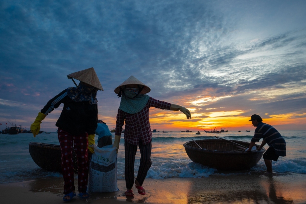 សម្រស់ដ៏ស្រស់ស្អាត នាពេលព្រឹកព្រលឹមនៅផ្សារត្រីដ៏ធំបំផុតក្នុងខេត្ត Quang Nam