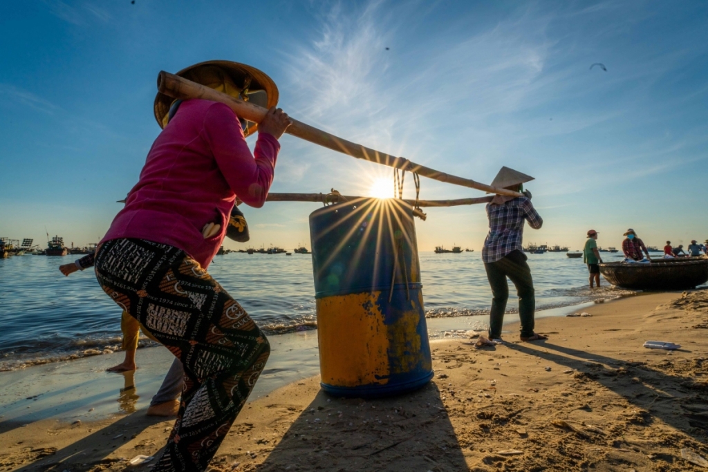 សម្រស់ដ៏ស្រស់ស្អាត នាពេលព្រឹកព្រលឹមនៅផ្សារត្រីដ៏ធំបំផុតក្នុងខេត្ត Quang Nam