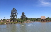 ស្រុក Dak Ha ខេត្ត Kon Tum៖ ជួយជនជាតិភាគតិចឲ្យរួចផុតពីភាពក្រីក្រប្រកបដោយនិរន្តរភាព