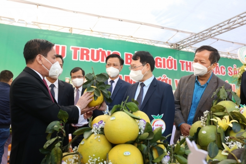 ខេត្ត Bac Giang ពង្រឹងការតភ្ជាប់នៃការលក់ ផលិតផលកសិកម្មនៅលើវេទិកាពាណិជ្ជកម្មអេឡិចត្រូនិក ខេត្ត Bac Giang ពង្រឹងការតភ្ជាប់នៃការលក់ ផលិតផលកសិកម្មនៅលើវេទិកាពាណិជ្ជកម្មអេឡិចត្រូនិក