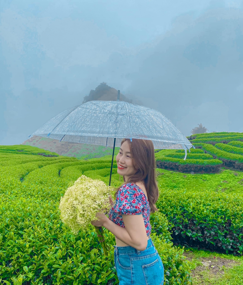 មកទស្សនា Moc Chau ជាមួយនឹងទេសភាពដ៏ស្រស់ស្អាតភ្លេអស់ផ្លូវត្រឡប់ទៅផ្ទះវិញ
