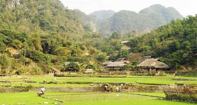 ខេត្ត Thanh Hoa​ (វៀតណាម)៖ សម្រស់ដ៏ទាក់ទាញរបស់តំបន់អភិរក្ស Pu Luong