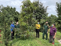 ការជួយគ្នារកស៊ីបានមាននៅជើងភ្នំ Ba Tang