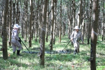 NPA/RENEW ជួយបោសសម្អាតមីន ក្នុងផ្ទៃដីជាង ៩៦.០០០m2 នៅស្រុក Gio Linh ខេត្ត Quang Tri