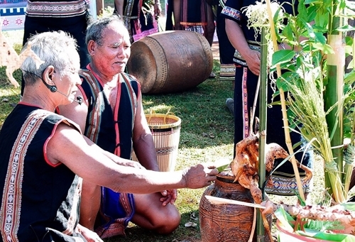 ភាពពិសេសនៃពិធីបុណ្យអំណរស្រូវថ្មីរបស់ជនជាតិ Ba Na ក្នុងតំបន់ Tay Nguyen