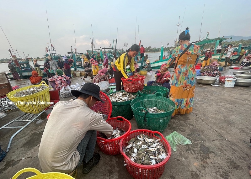 ADB អនុម័តកញ្ចប់ថវិកា៧៣លានដុល្លារដល់កម្ពុជា ដើម្បីអភិរក្ស និងអភិវឌ្ឍធនធានជលផលសមុទ្រ