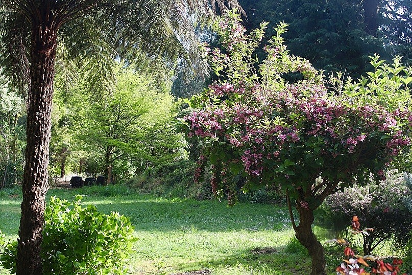 6,000 m2 Garden of a Vietnamese Mother in Australia 6,000 m2 Garden of a Vietnamese Mother in Australia